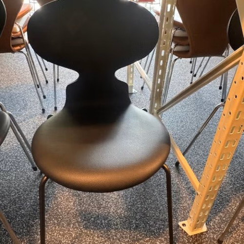 AJ/Myren Sælskind