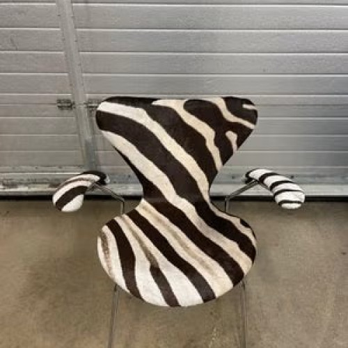AJ/3207 Zebraskind